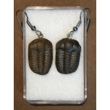 Naušnice z trilobita